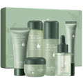 Avocado Skincare Sets, 6Pcs Skincare Gift Set with Facial Cleanser, Face Serum, Face Cream, Eye Cream, Toner, Moisturizing Lotion, Skin Care Sets & Kits, Hydrating Facial Kit for Women